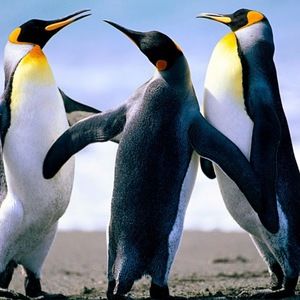 Meet your Posher, Leticia